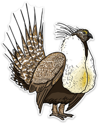 Sage Grouse Decal Sticker