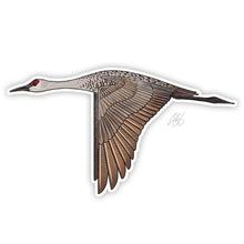 Sandhill Crane Decal Sticker