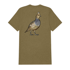 |Olive