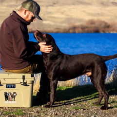 Labs Unlimited Decal Sticker