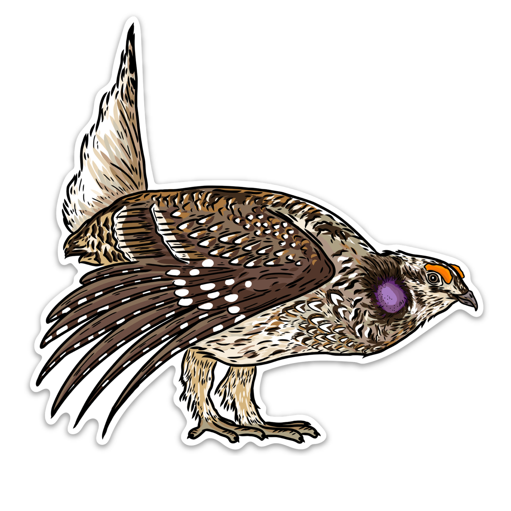 Sharp-Tailed Grouse Gifts | Bird Dog of the Day