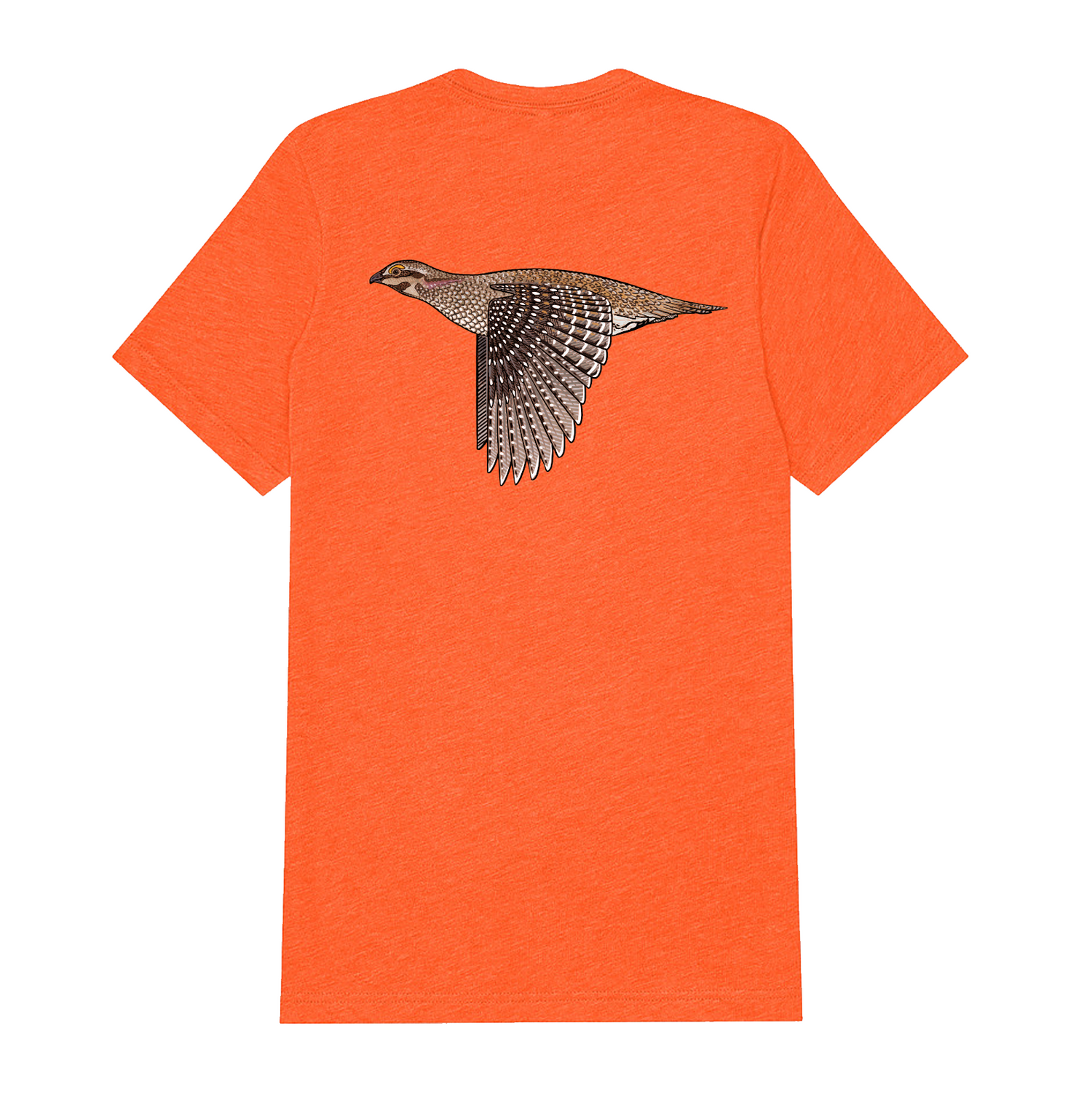 |Blaze Orange