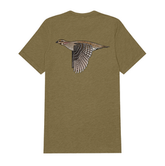 |Olive