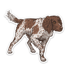 Small Münsterländer Decal Sticker