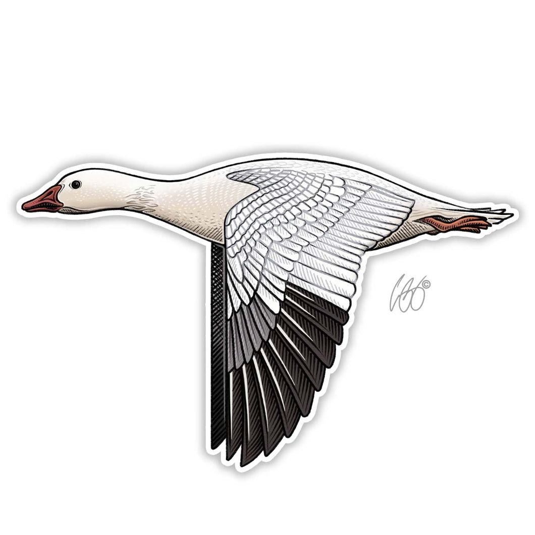 Snow Goose Decal Sticker