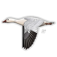 Snow Goose Decal Sticker