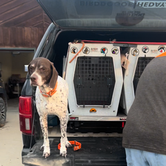 Every Gamebird Decal Sticker