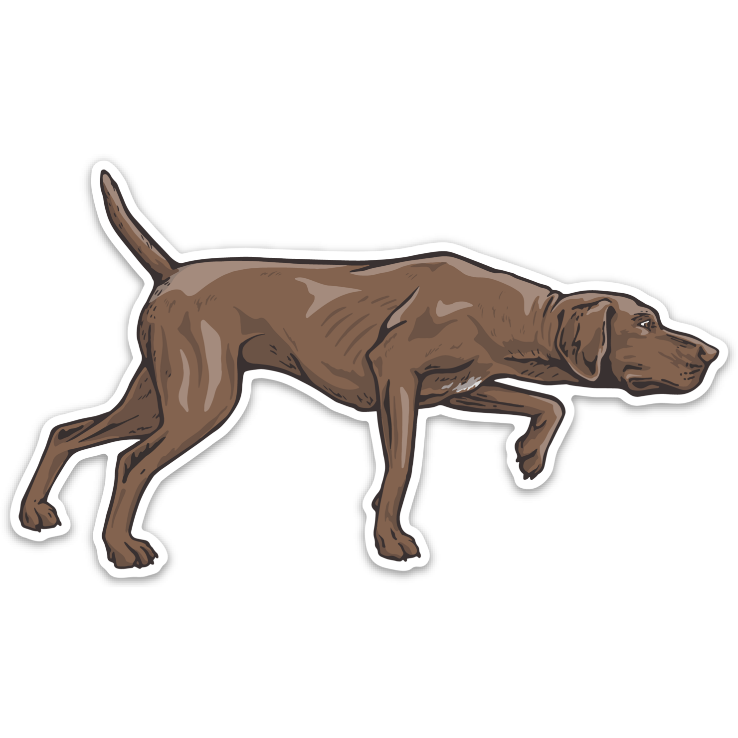 GSP Colors Decal Sticker