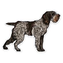 Load image into Gallery viewer, Spinone Italiano Decal Sticker
