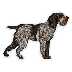 Spinone Italiano Decal Sticker