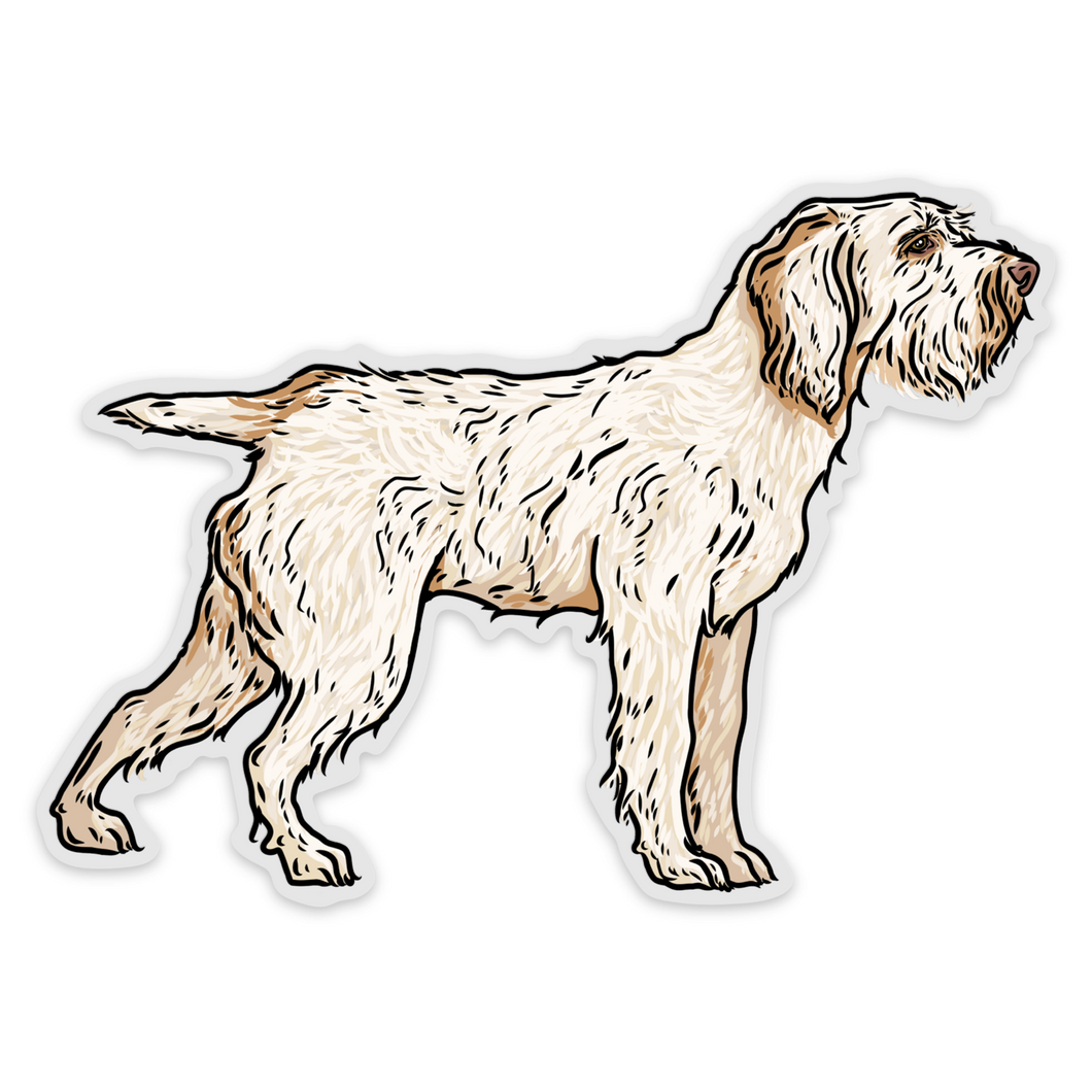 Spinone Italiano Decal Sticker