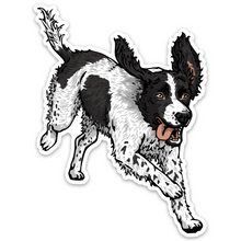 Load image into Gallery viewer, Springin&#39; Springer Decal Sticker
