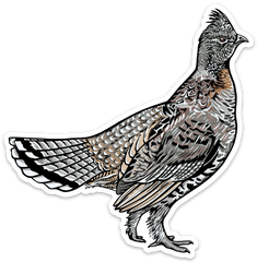 King of the North Decal Sticker