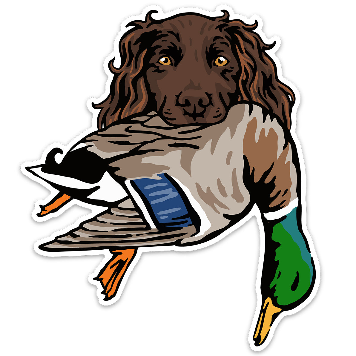 |Boykin with a Mallard
