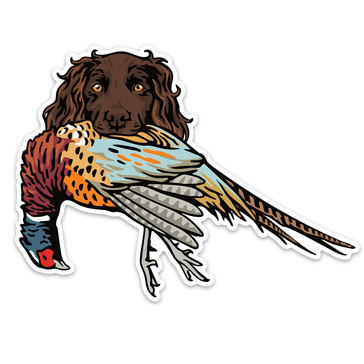 |Boykin with a Pheasant