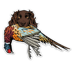 |Boykin with a Pheasant