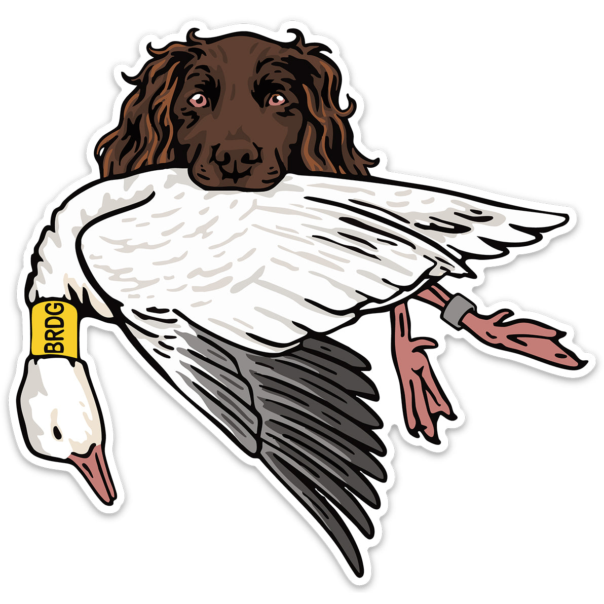 |Boykin with a Wood Duck