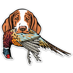 |Bracco with a Pheasant