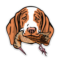 |Bracco with a Woodcock