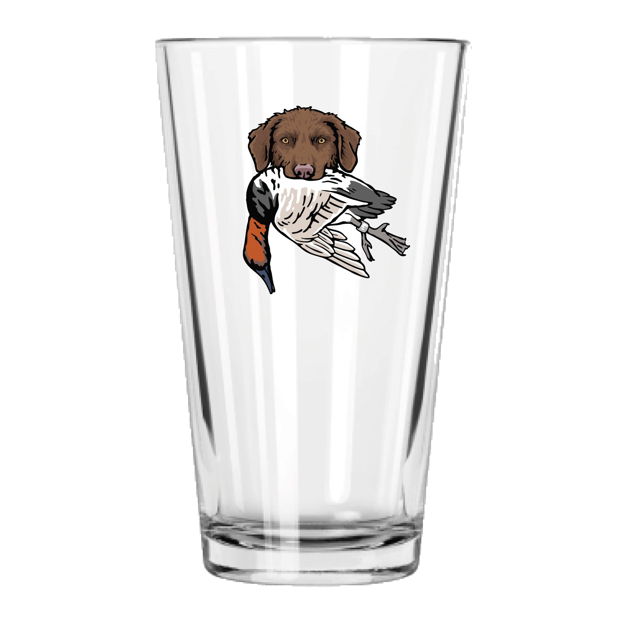 |Brown Chessie with a Snow Goose