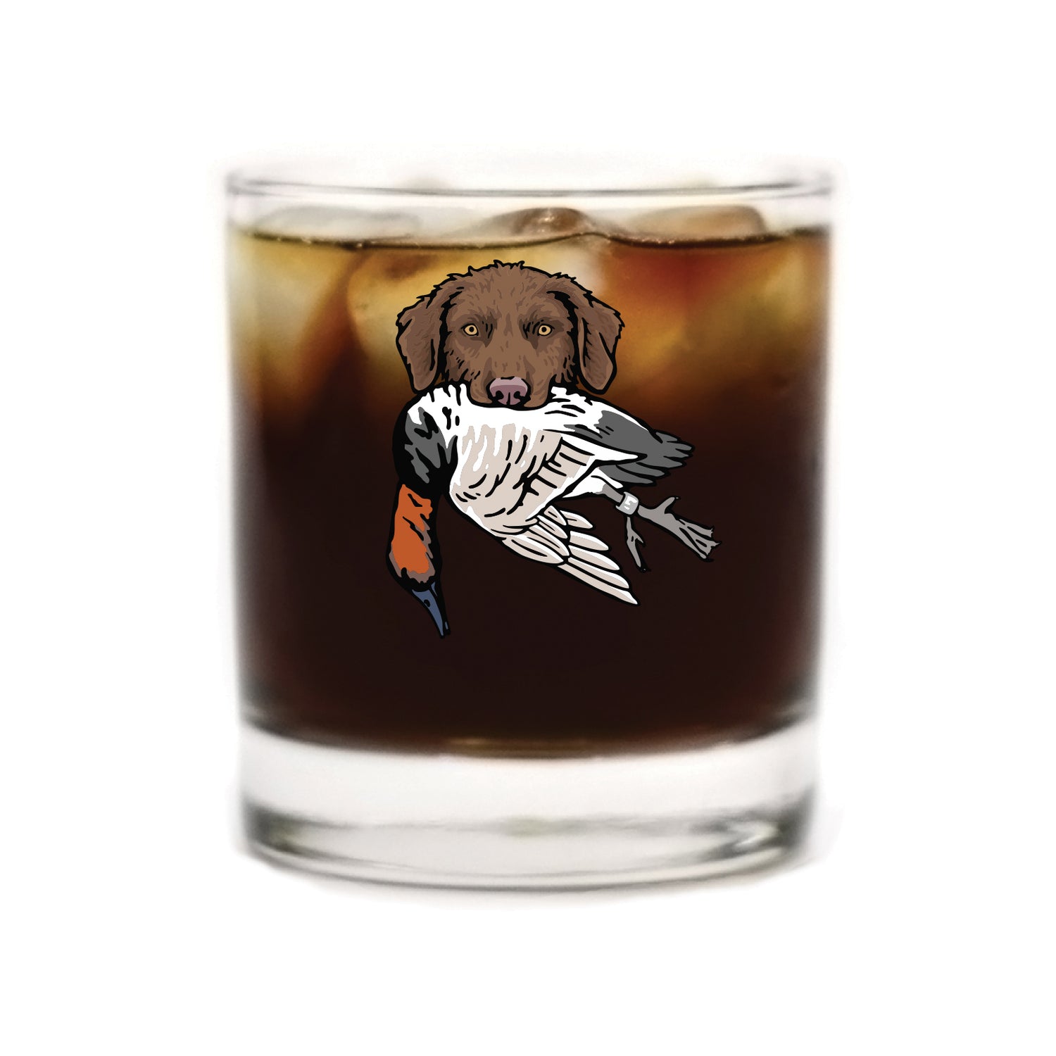 |Brown Chessie with a Canvasback