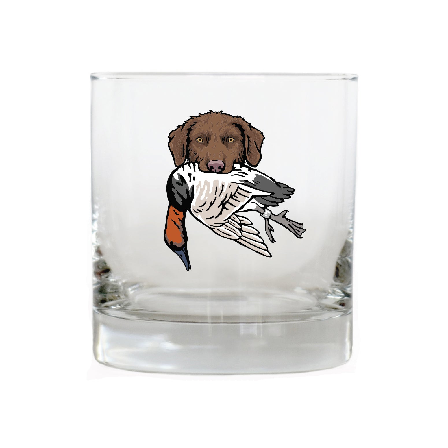 |Brown Chessie with a Canvasback