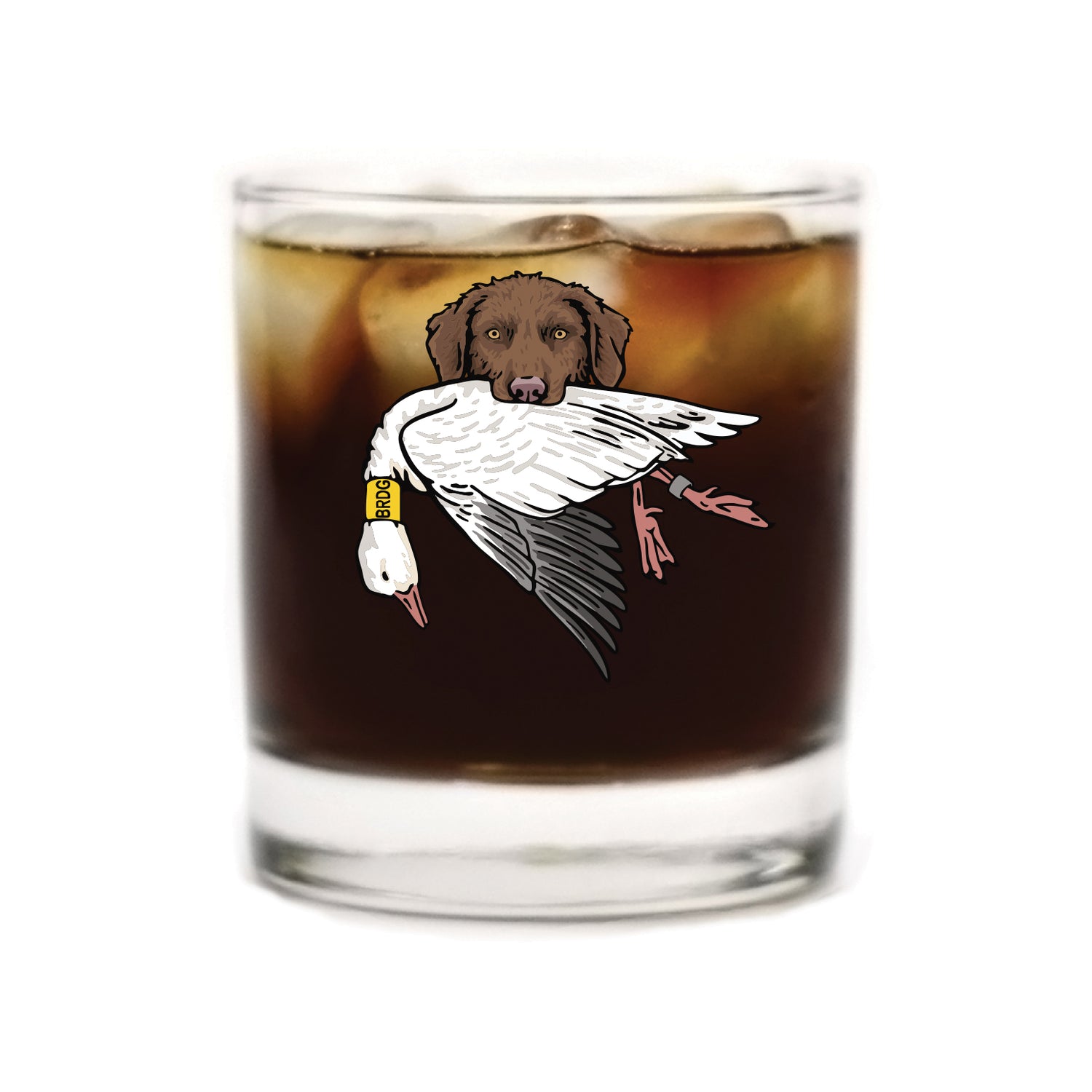 |Brown Chessie with a Snow Goose