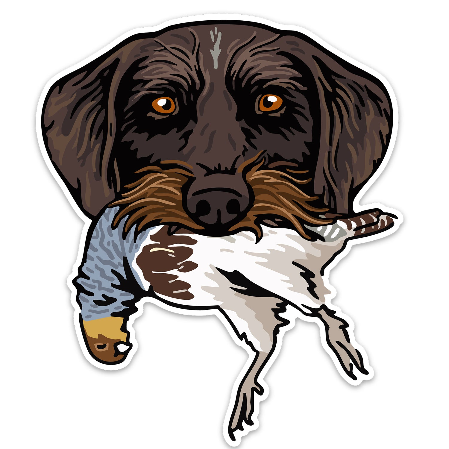 |Drahthaar with a Hungarina Partridge