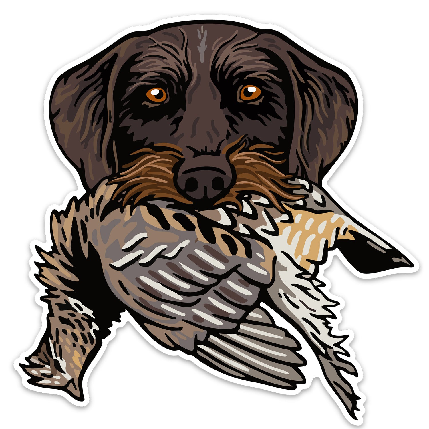 |Drahthaar with a Ruffed Grouse