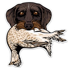|Drahthaar with a Sharp-Tailed Grouse