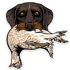 |Drahthaar with a Sharp-Tailed Grouse