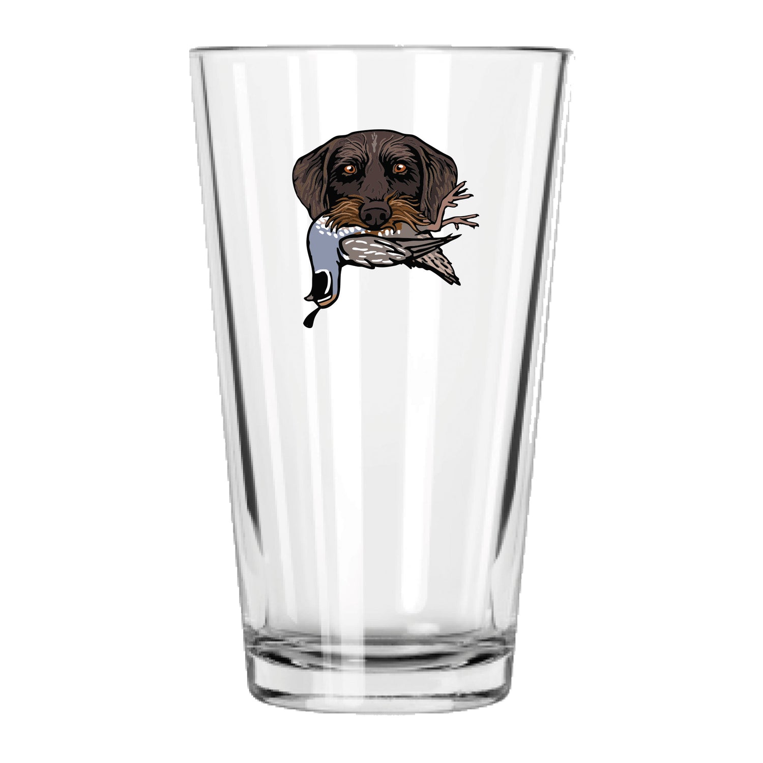 |Drahthaar with a California Quail