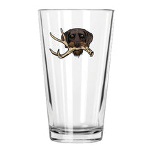 |Drahthaar with a Shed Antler