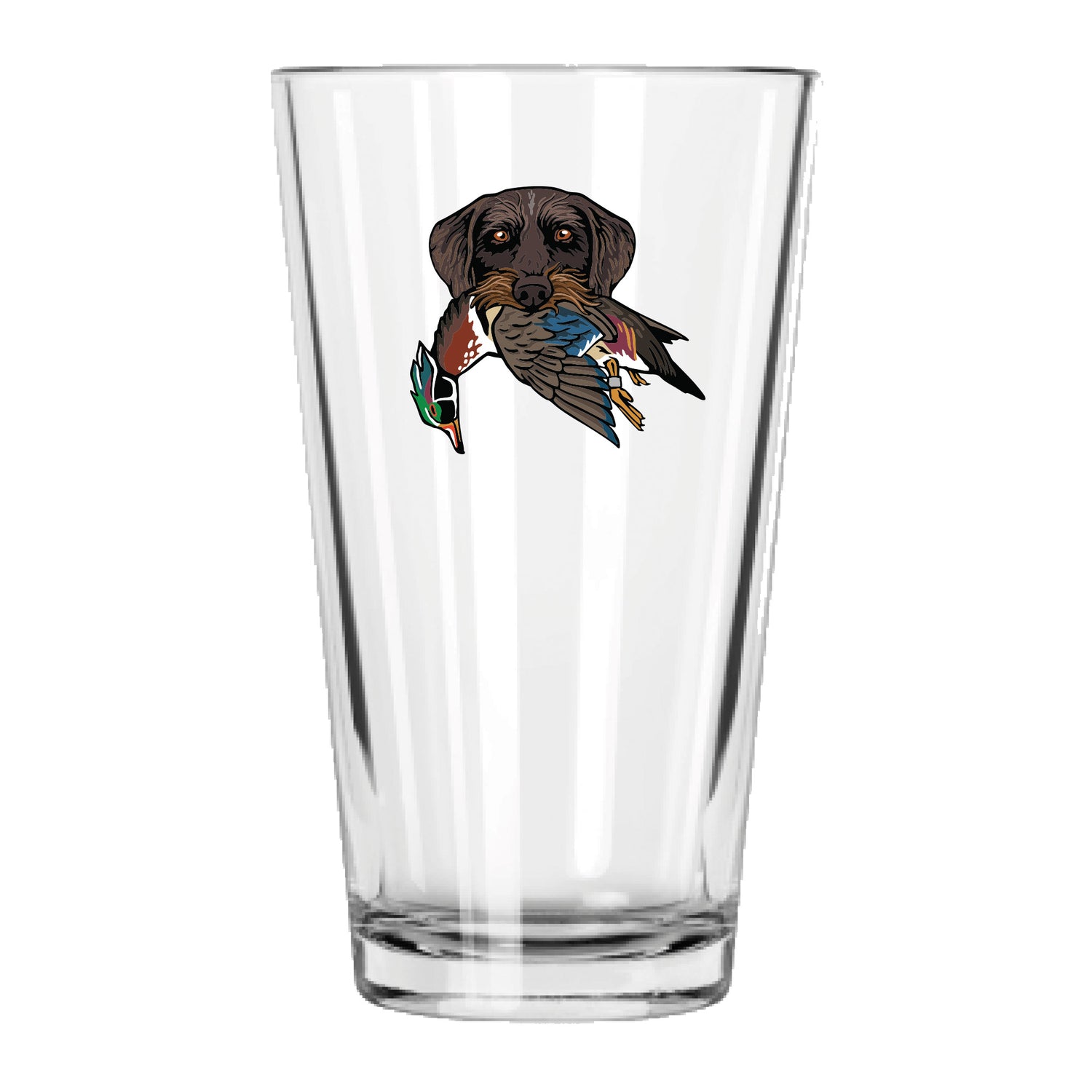 |Drahthaar with a Wood Duck