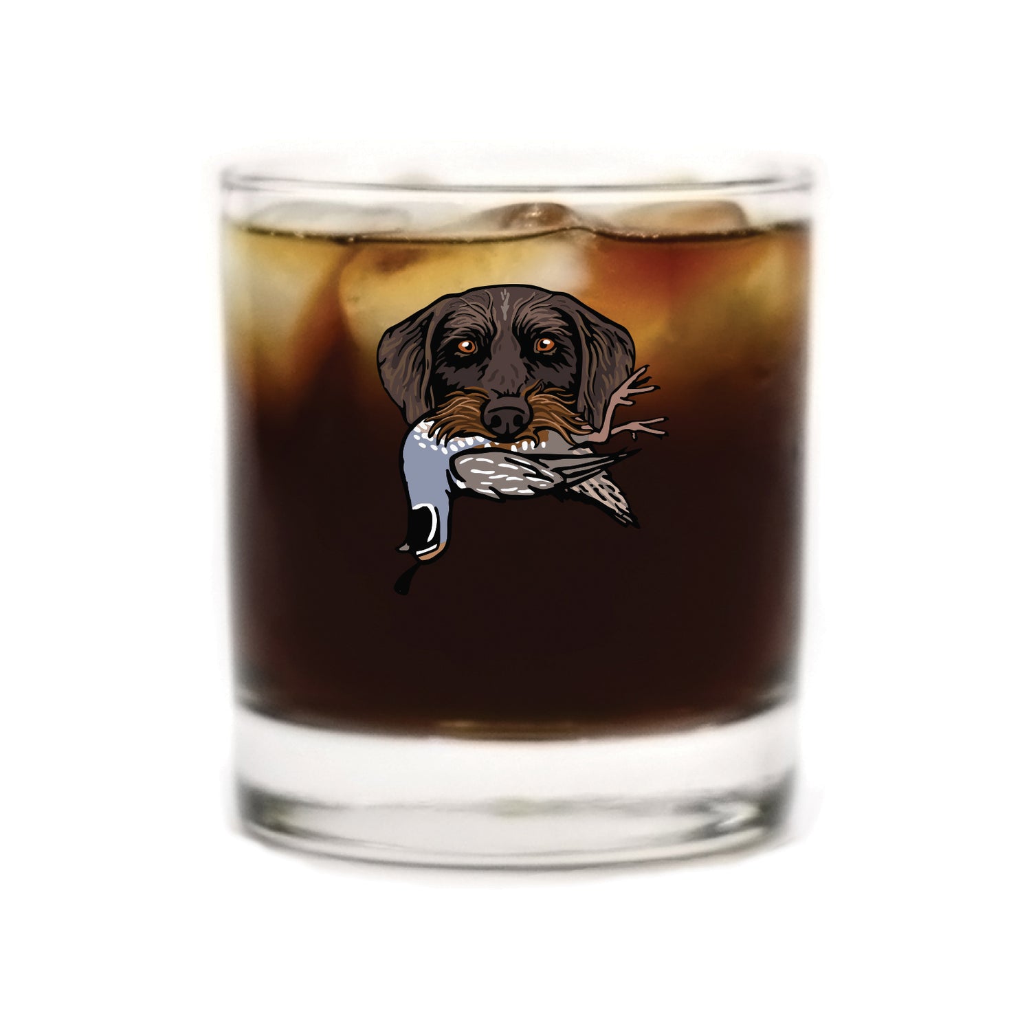 |Drahthaar with a California Quail