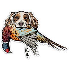 |English Setter with a Pheasant