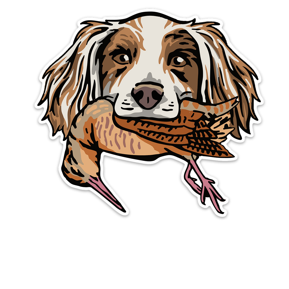 |English Setter with a Woodcock