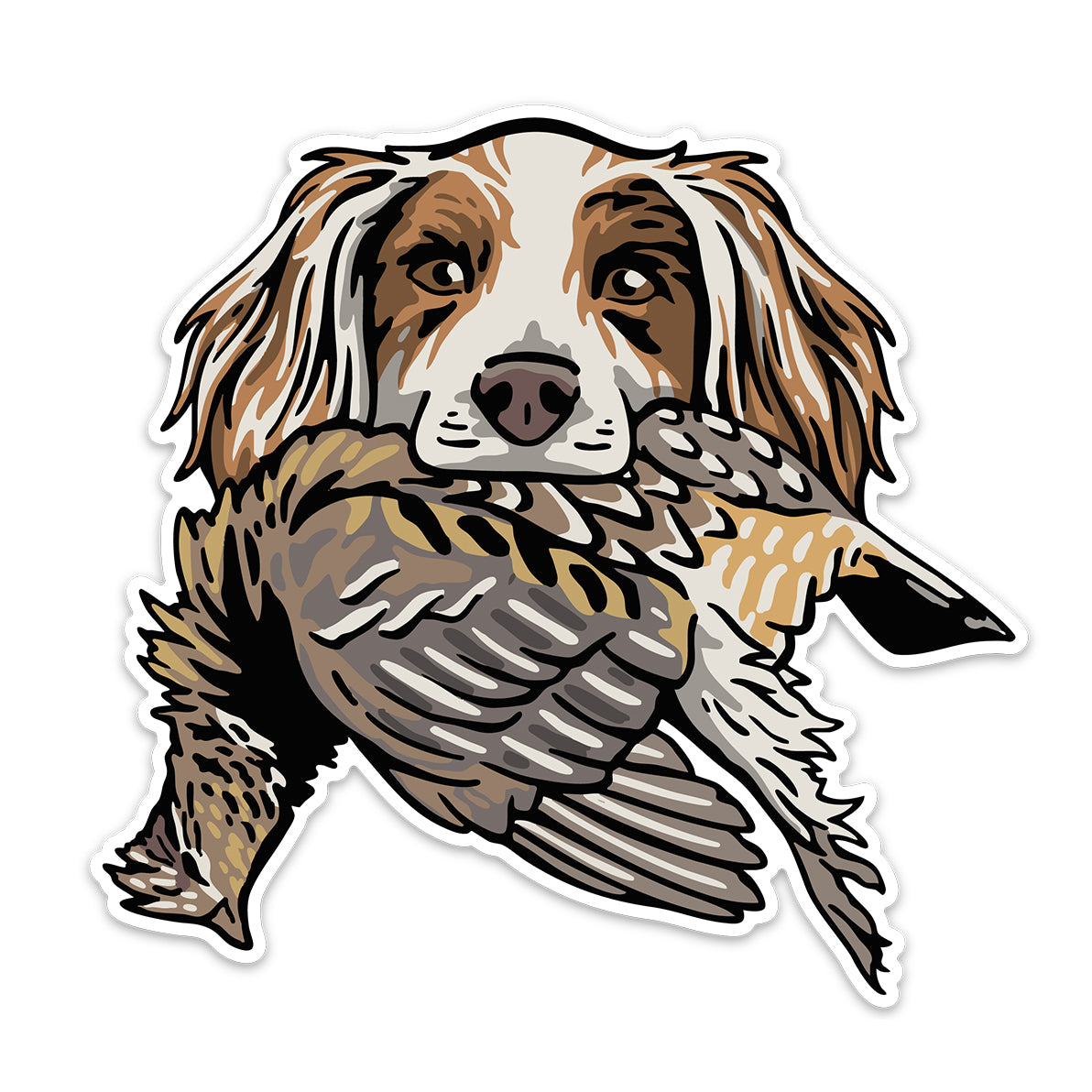 |English Setter with a Ruffed Grouse