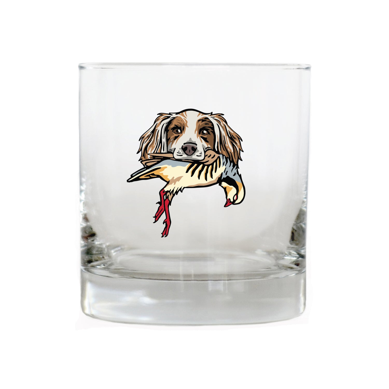 |English Setter with a Chukar