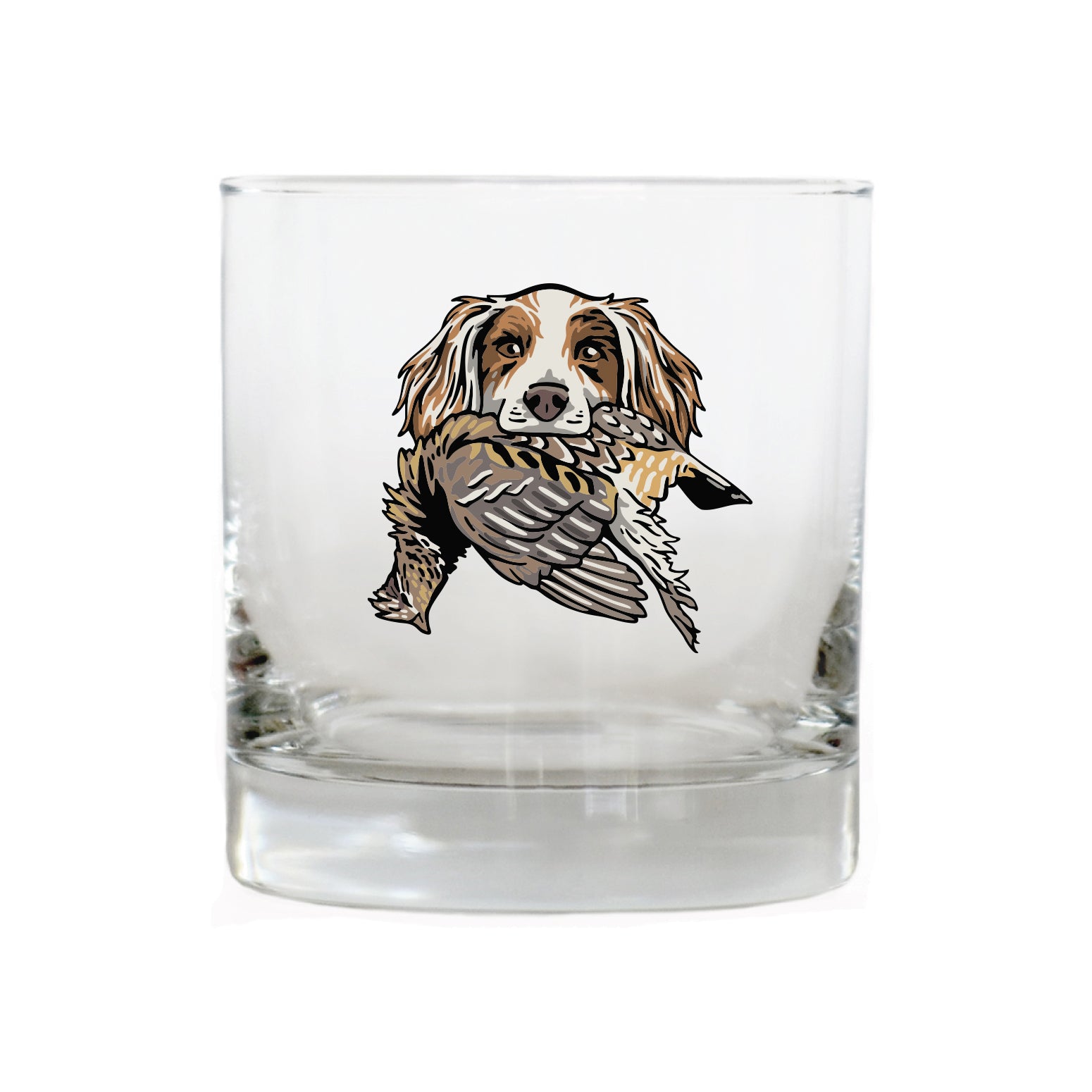 |English Setter with a Chukar