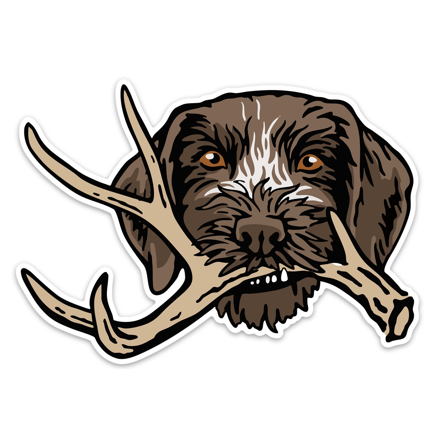 |GWP with a Shed Antler