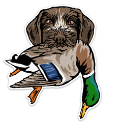 |GWP with a Mallard