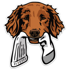 |Golden Retriever with a Sock