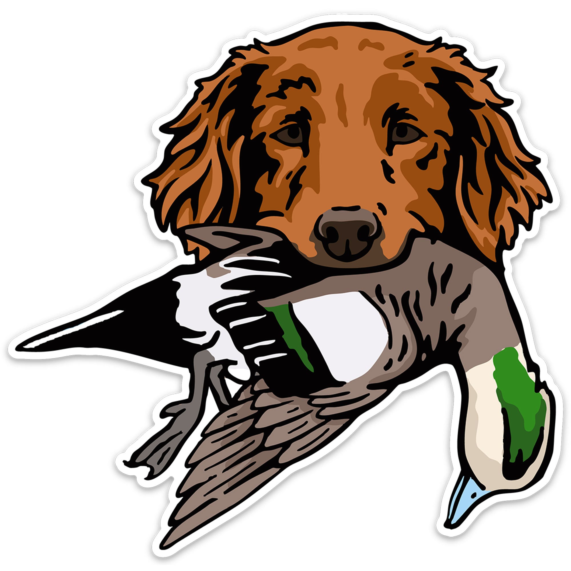 |Golden Retriever with a Mallard