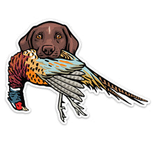 |gsp-with-a-pheasant