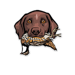 |gsp-with-a-bobwhite-quail