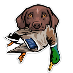|gsp-with-a-mallard