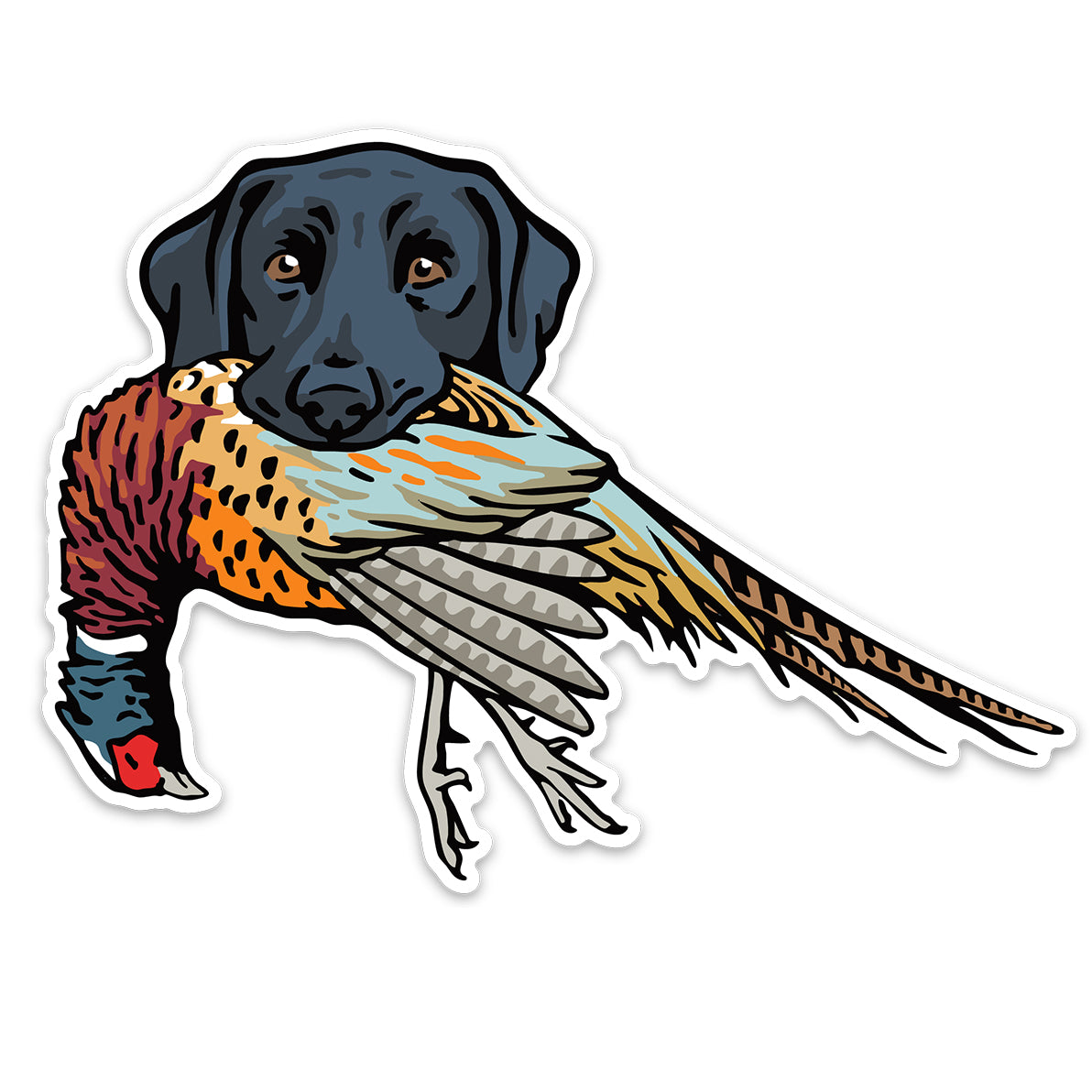 |Black Lab with a Pheasant