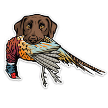 |Chocolate Lab with a Pheasant