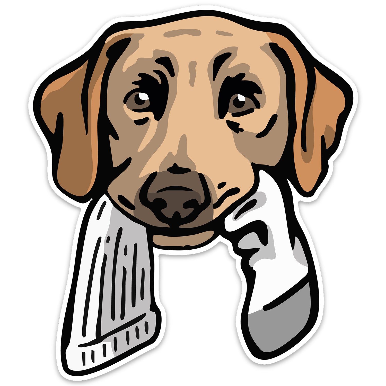 |Yellow Lab with a Sock